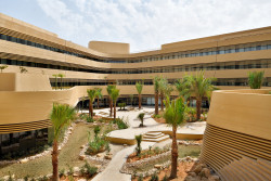 Marriott_Diplomatic_Quarter_ruhdq_Wadi_Courtyard_04.JPG