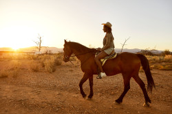 South-Africans-are-braver-on-holiday-trying-things-they-wouldnt-normally-do-at-home.jpg