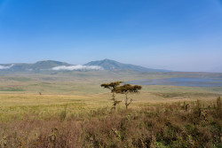 The Ngorongoro Crater - Turaco Ngorongoro Valley, a Tribute Portfolio Hotel.jpg