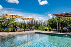 JW Marriott Masai Mara Lodge_pool.jpg